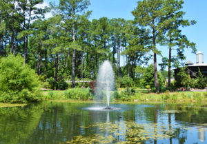 Fountain in a small lake with serene surroundings