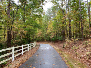 An image of a pathway or road flanked by tall walls on both sides