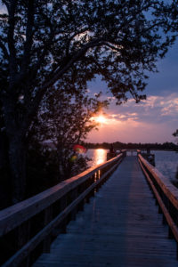 A scenic view of a pathway leading towards a sunset over a lake in the evening